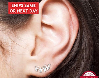 Ohio State Earrings - Ohio State - Ohio State University Silhouette Earrings - OSU Earrings - Ohio State University Earrings