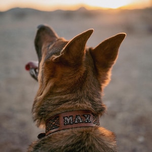 Personalized Western Leather Dog Collar - Custom with Your Dog&#39;s Name & Design choice -tooled proudly in the USA right here in Arizona