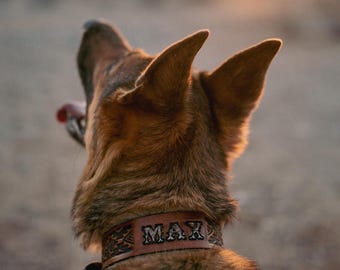 Personalized Western Leather Dog Collar - Custom with Your Dog's Name & Design choice -tooled proudly in the USA right here in Arizona