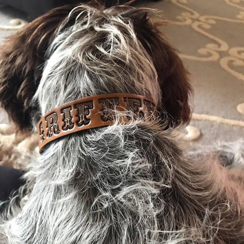 Personalized Western Leather Dog Collar With Your Dogs Name | Etsy