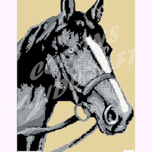 Modello Graphgan-Horse Head (4142) graphgan, coperta, uncinetto, afgano,