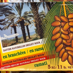 Dried Stem Dates 11Lb, Datiles Naturales, Deglet Nour, On Branch, Ramadan