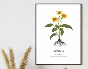 Botanical Wall Art | Herbal Art Watercolour | Neutral Botanical Printable Wall Art | Neutral Decor | Botanical Print | Boho Art Print