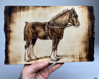 Clydesdale, Woodburned Horse art, original hand drawn pyrography on live edge wood