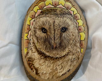 Handmade Wood Burned Barn Owl Art: Colorful Patterned Basswood