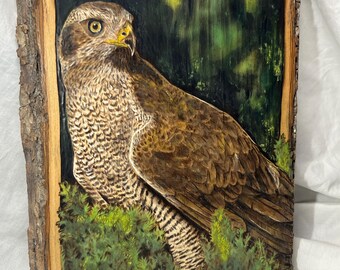 Goshawk Hawk Portrait, Wood Burned Pyrography on Live Edge Basswood, Wildlife Bird Art