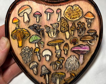 Forager’s Delight, hand drawn wood burned mushroom art, original one of a kind