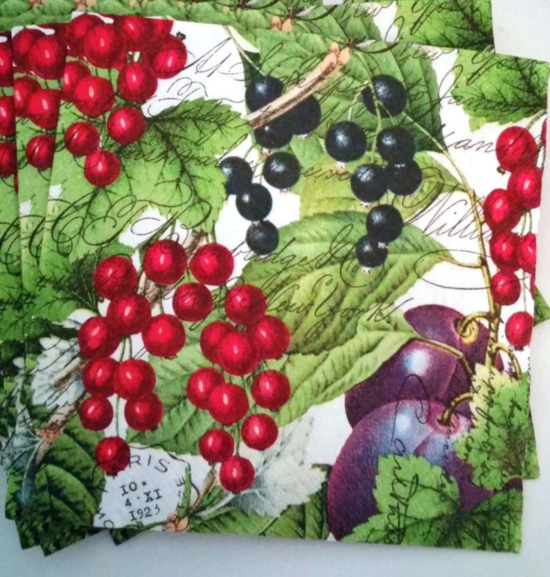 Decoupage Napkins Paper Luncheon Napkins Currant by Michel Design Works