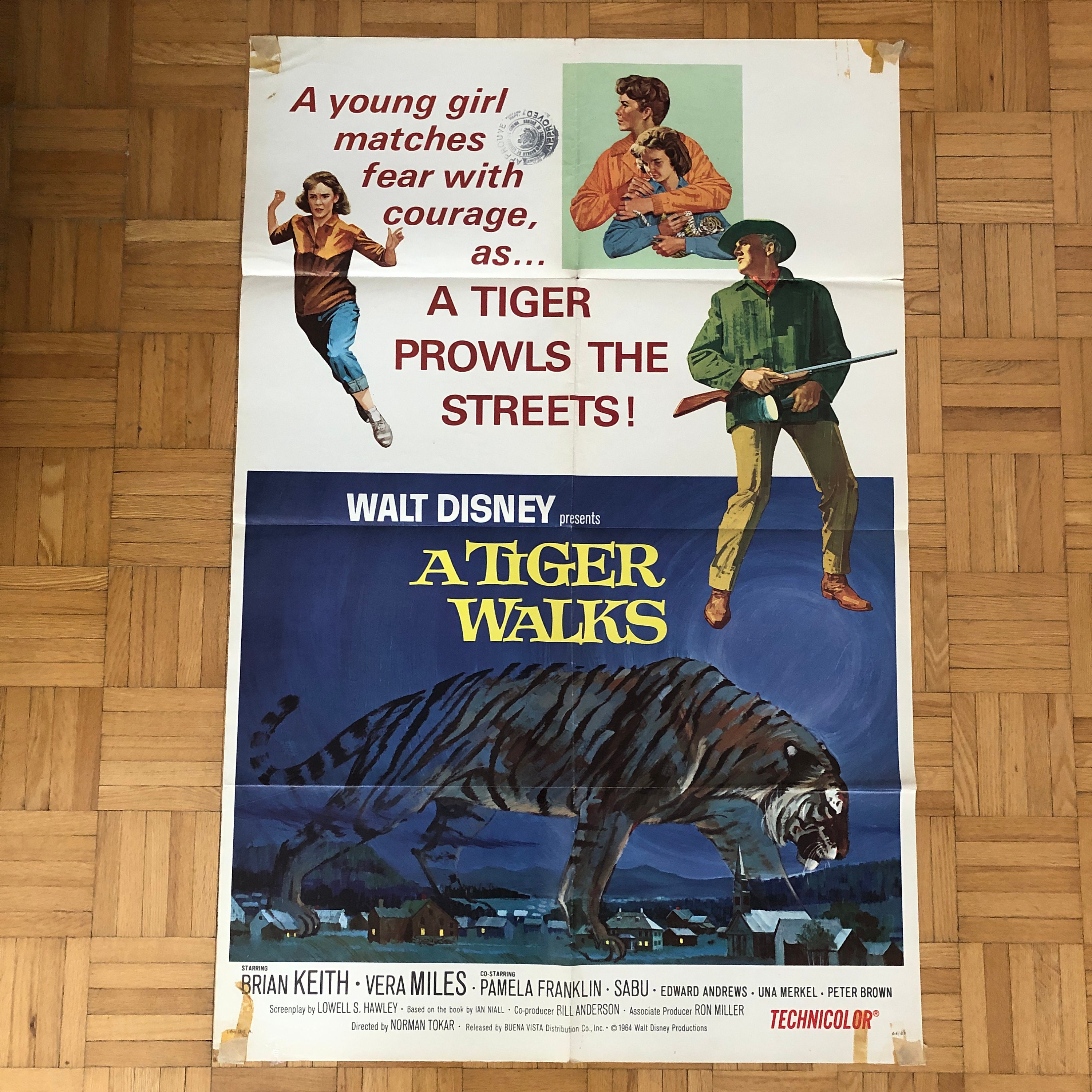A Tiger Walks  Disney Movies