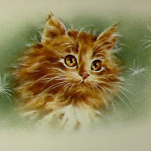 May include: A close-up of a ginger cat with green eyes. The cat is looking directly at the viewer. The background is a soft green with white dandelion-like shapes.