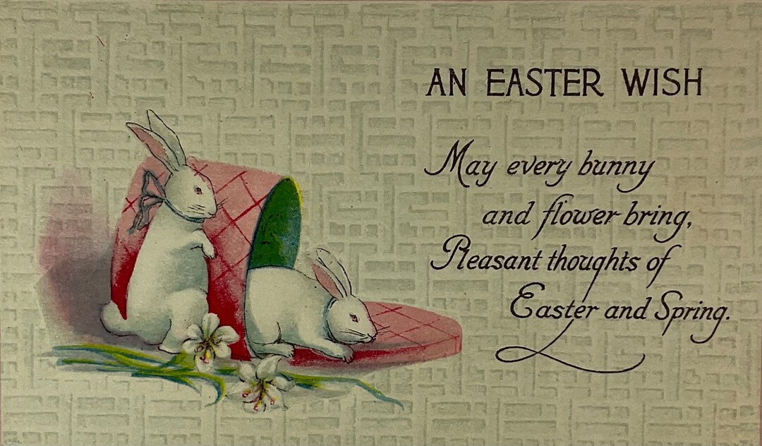 White Rabbit Postcard White Bunny Rabbits in A Pink Hat Box Vintage Antique 1920 Easter ...