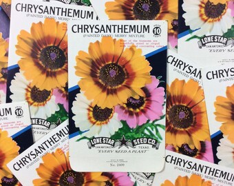 Lot of 5 Orange Pink White Chrysanthemum Flower Floral Vintage Unused 10 Cents Empty Seed Packets