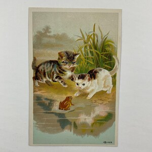 May include: Vintage postcard featuring two kittens and a frog near water. One kitten is brown and gray tabby, the other is white and brown. The frog is brown. Tall grass and a reflective water surface are in the background.
