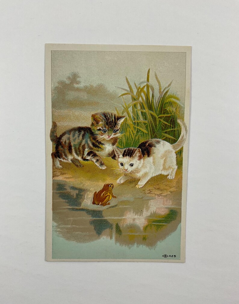 May include: Vintage postcard featuring two kittens and a frog near water. One kitten is brown and gray tabby, the other is white and brown. The frog is brown. Tall grass and a reflective water surface are in the background.