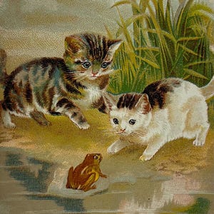 May include: An antique illustration depicts two kittens cautiously approaching a small frog near a body of water. The kittens have brown and white tabby markings, and the frog is brown. Tall green grass is in the background.