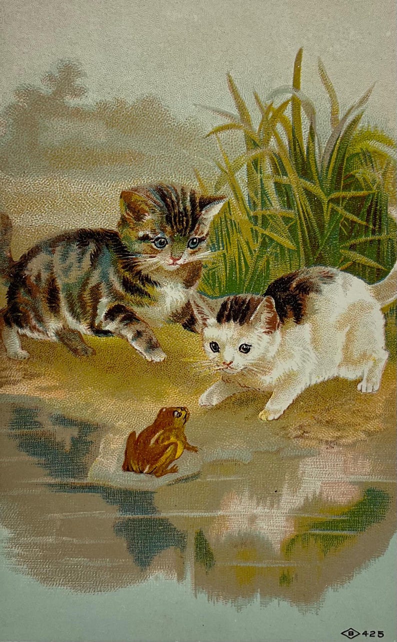 May include: An antique illustration depicts two kittens cautiously approaching a small frog near a body of water. The kittens have brown and white tabby markings, and the frog is brown. Tall green grass is in the background.