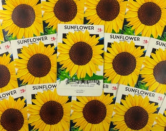 Lot of 2 Mammoth Sunflower Vintage Unused 20 Cents Empty Flower Seed Packets