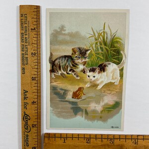 May include: Vintage postcard featuring two kittens and a frog near water. One kitten is tabby, the other white with black spots. Tall green grass is in the background. The postcard has text that reads "LITTLE GIRLS AND LITTLE BOYS IN LUXURY BREAD FIND BIGGEST JOYS."