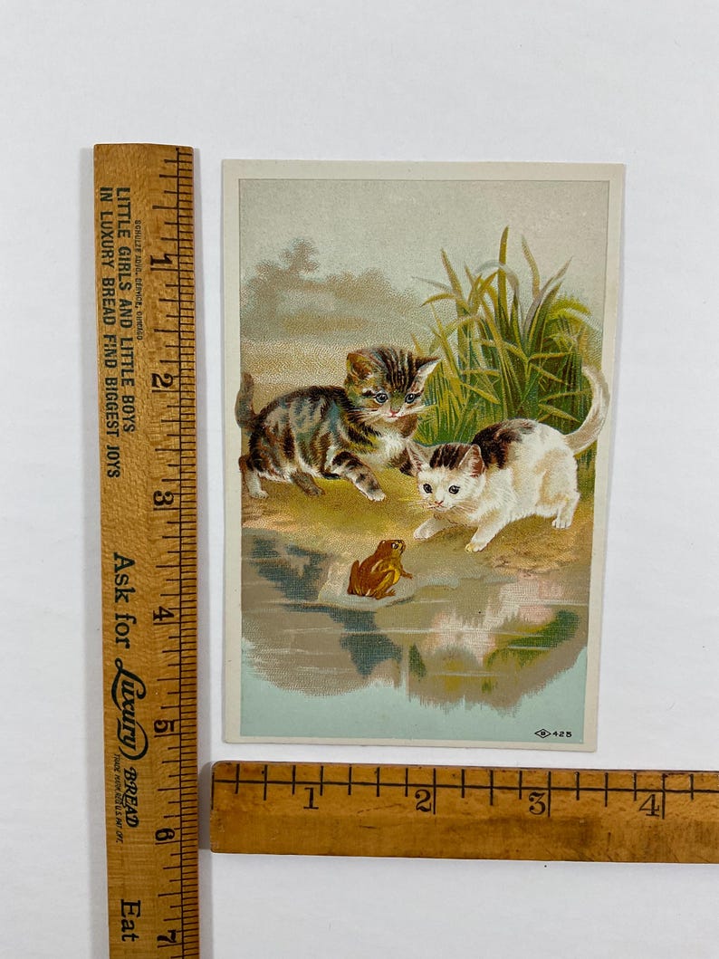 May include: Vintage postcard featuring two kittens and a frog near water. One kitten is tabby, the other white with black spots. Tall green grass is in the background. The postcard has text that reads "LITTLE GIRLS AND LITTLE BOYS IN LUXURY BREAD FIND BIGGEST JOYS."