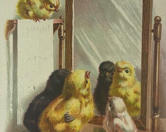 Chicks Look At Their Reflection In A Mirror Vintage Antique 1907 Easter Greeting Postcard Card