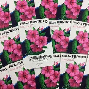 Lot of 5 Pink Vinca Periwinkle Floral Flower Vintage Unused 10 Cents Empty Seed Packets
