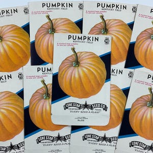 May include: Vintage seed packets for Kentucky Field pumpkins. Each packet features a colorful illustration of a pumpkin and the text "Pumpkin Kentucky Field" with a price of 10 cents. The packets are from Lone Star Seed Co. in San Antonio, Texas.