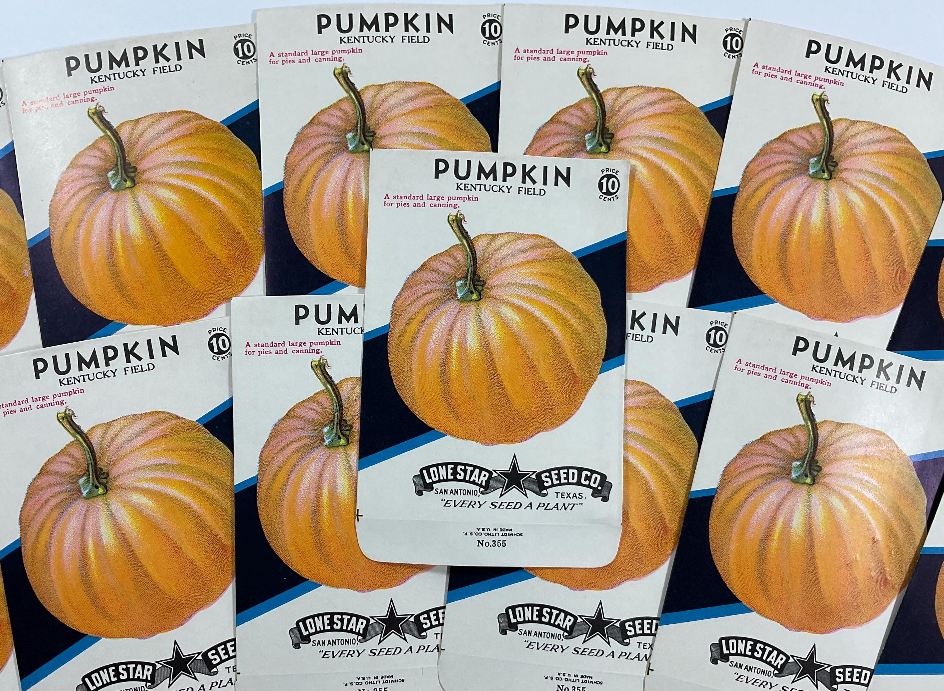Lot of 3 Halloween Thanksgiving Holiday Pumpkin Vintage Unused 10 Cents  Empty Seed Packets - Etsy
