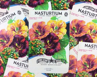 Lot of 5 Purple Magenta Yellow Orange Nasturtium Floral Flower Vintage Unused 15 Cents Empty Seed Packets