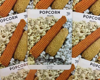 Lot of 3 Yellow Popcorn Vintage Unused 20 Cents Empty Seed Packets