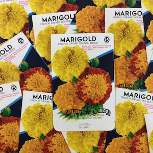 May include: A close-up of several seed packets for French Dwarf Double Marigold flowers. The packets are blue and white with a picture of orange and yellow marigolds. The text on the packets reads "Marigold French Dwarf Double Mixed" and "Lone Star Seed Co. Every Seed A Plant".