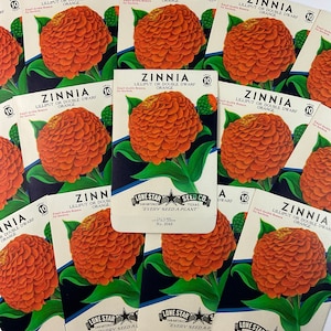 10 Cent Seed Packet - Etsy