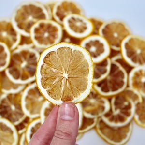 Dried Lemon Slices