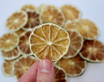 Dried Lime Slices: Natural Cocktail Garnish, Tea & Craft Decor