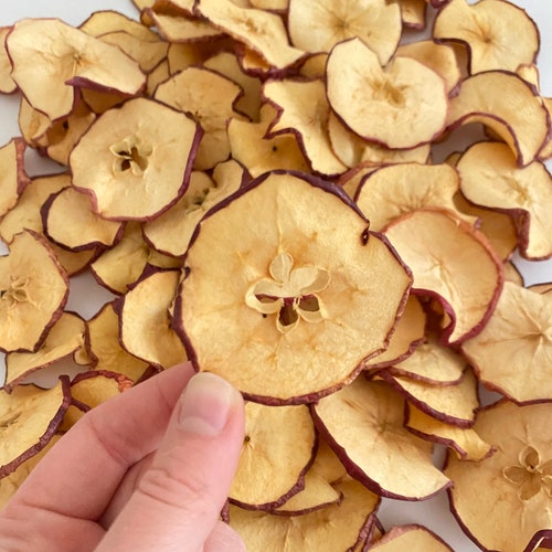 Dried Apple Slices Etsy