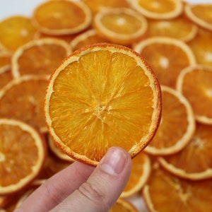 Assortiment d'agrumes séchés : tranches de citron, citron vert, orange, pamplemousse et orange sanguine pour cocktails, thé, créations manuelles, fabrication de savon et de bougies