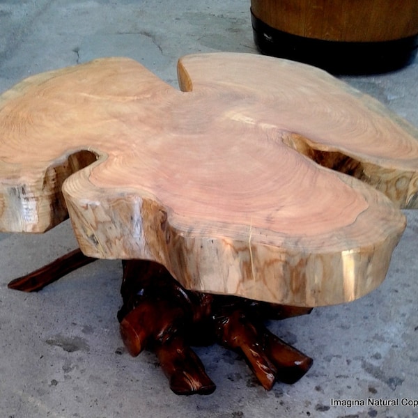 Naturally Unique Cypress Tree Trunk Handmade Coffee Table - Log Rustic Chilean - Free International Shipping Included
