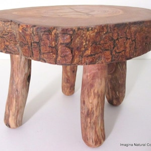Mini table holder pot for plants - Naturally unique mini tree trunk hand made table- Log rustic chilean- Free shipping included