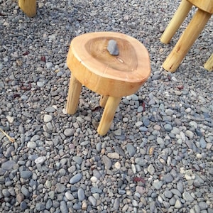 Childrens Stool / Mini Table Naturally Unique Cypress Tree Trunk Handmade Coffee Table - Log Rustic Chilean - Free Shipping Included