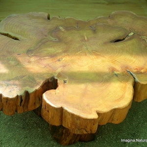 Large Naturally Unique Cypress Tree Trunk Handmade Coffee Table - Log Rustic Chilean - Free International Shipping