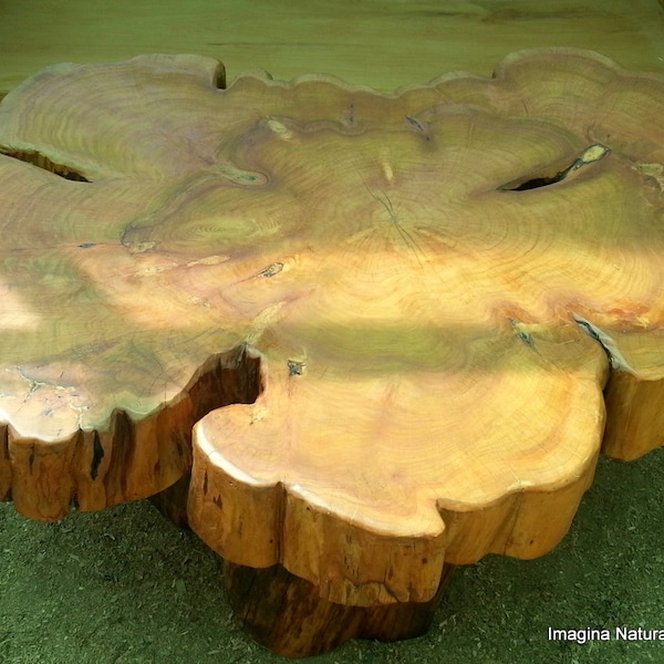 Large Naturally Unique Cypress Tree Trunk Handmade Coffee Table - Log Rustic Chilean - Free International Shipping