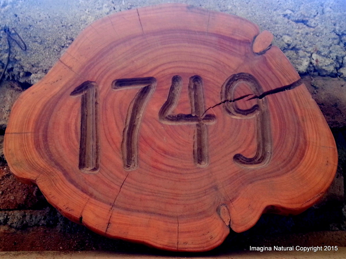 tree trunk plates