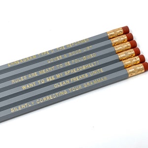 Funny Enneagram Type 1 Pencil Set
