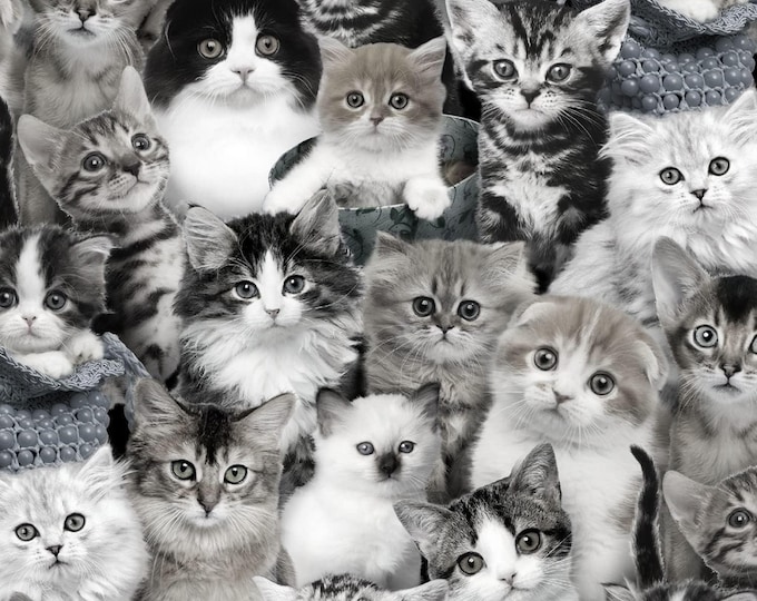 Elizabeth's Studio Cat Breeds Packed Cats Gray Premium Quality 100% Cotton Fabric (ES10XX)