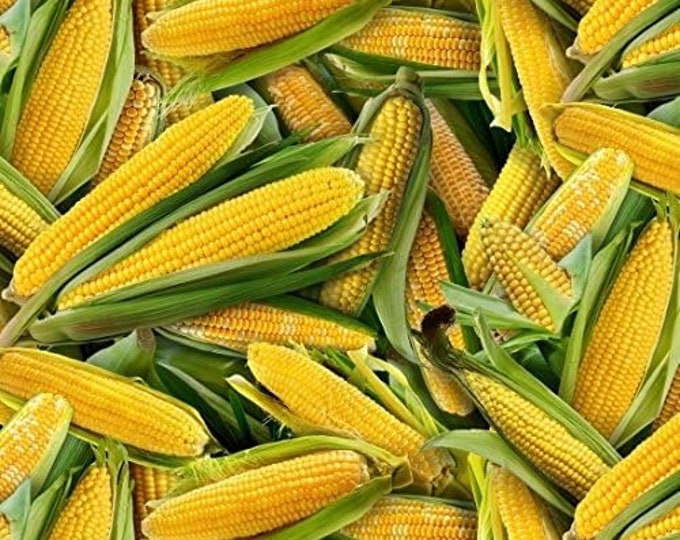 Elizabeth's Studio Celebrations Fabric Corn Fall Decoration Premium Quality 100% Cotton Fabric (ES64)