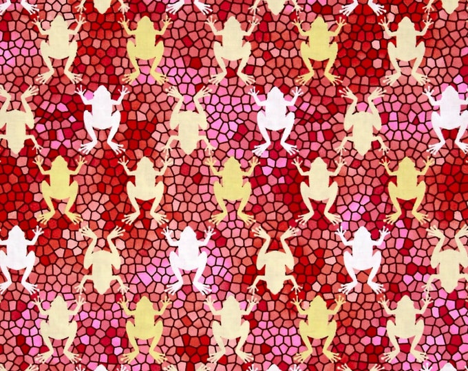 Quilting Treasures June Bee Penelope Frogs Premium Quality 100% Cotton Fabric (QT863)