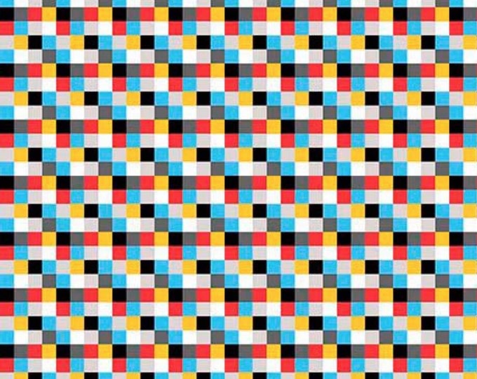 Quilting Treasures Good Friends Check Little Squares Plaid Premium Quality 100% Cotton Fabric (QT290AA)