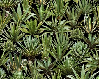 Timeless Treasures Desert Trip Agave Premium Quality 100% Cotton Fabric (TT834)