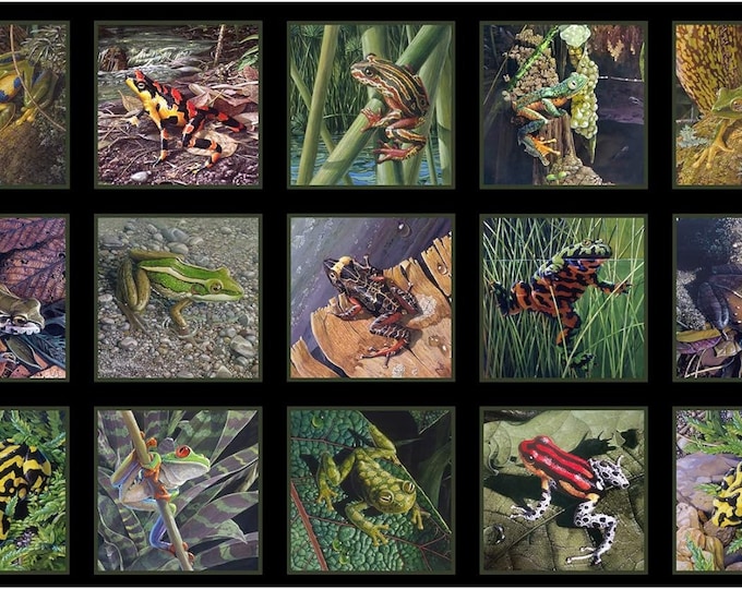 Elizabeth's Studio Amazing Frogs 24inx43in Frog Panel Black Premium Quality 100% Cotton fabric by the Panel (ES395)