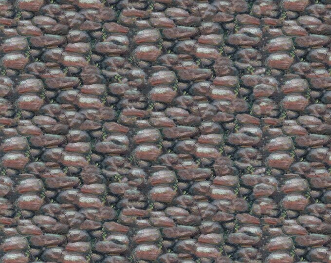Springs Creative Wild Wings Show Dogs Allover Rocks Multi Premium Quality 100% Cotton Fabric (SC1493)
