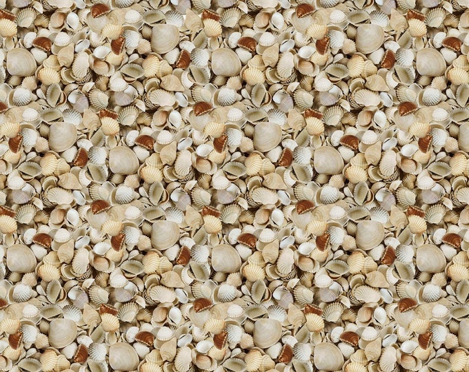 Windham Fabrics Shelabrate Again Seashells Premium Quality 100% Cotton Fabric (M660KK)